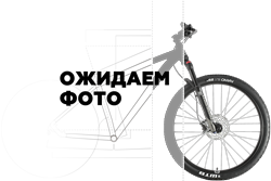Велосипед Stark Peloton 700.4 D (2024)