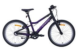Велосипед Alpinebike Pegas 3-20 (2025)